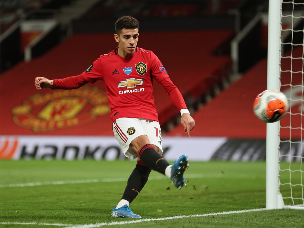 的蓬勃发展 的蓬勃发展